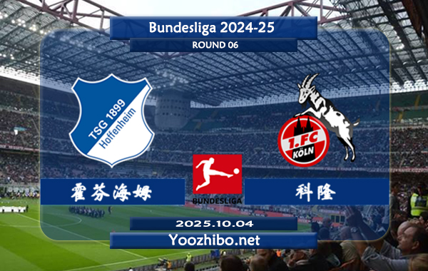 霍芬海姆vs科隆赛事前瞻分析:霍芬海姆主场赢球率达100%