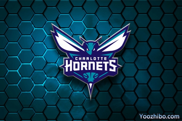 2019-2020赛季<a href=/lanqiuzhiboba/hornets/ target=_blank class=infotextkey>黄蜂</a>队队徽